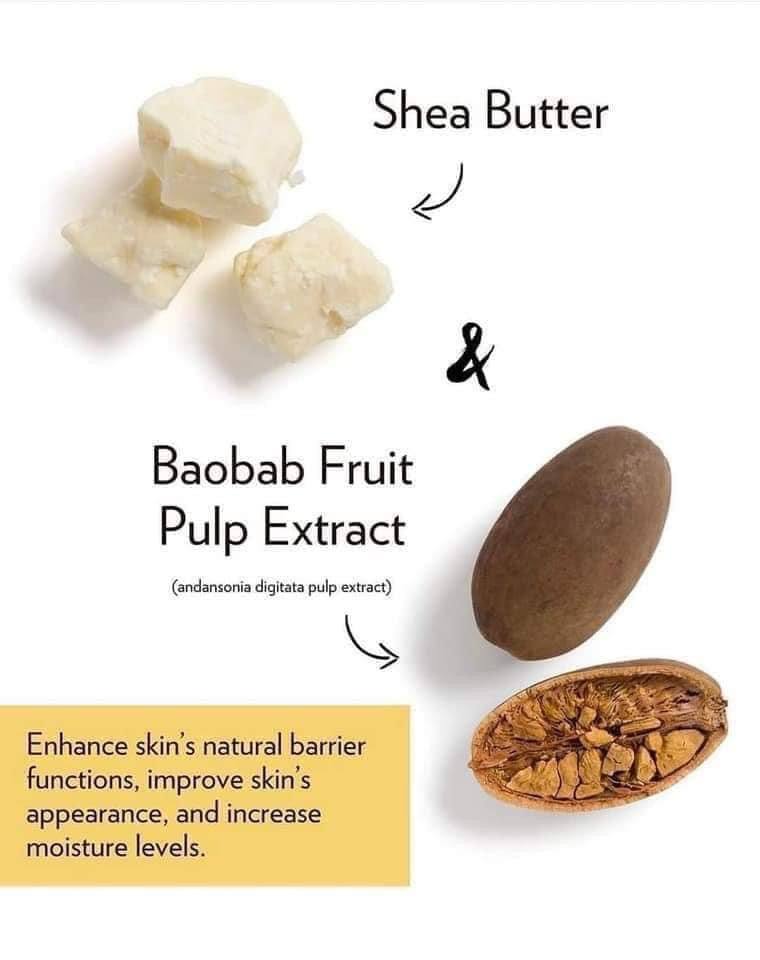 Epoch Baobab Body Butter